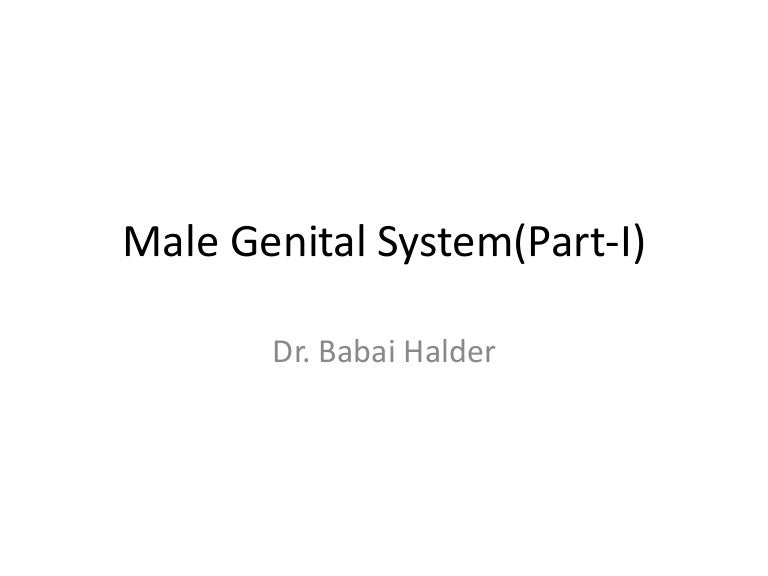 Deformed Male Genitals Deformed Male Genitals